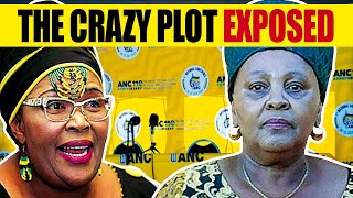 ANC Chief Whip Pemmy Majodina vs Nosiviwe MapisaNqakula over corruption court battle [upl. by Rinum]