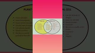 Animal and Plant Cell Similarities and Differncesshortsvideo shorts viralvideoshorts biology [upl. by Mclyman]