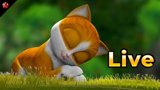 🔴 LIVE STREAM 🐮 കാത്തു 🐶 ബാനു ബബ്‌ലു 🐰 Malayalam Cartoon Live for Kids [upl. by Genevieve137]