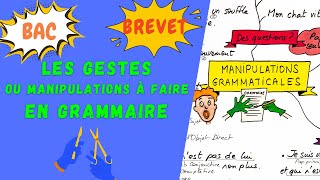 MANIPULATIONS ou GESTES À CONNAITRE EN GRAMMAIRE pour le brevet loral du bac de français 2024 [upl. by Obie470]