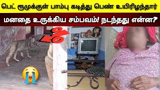 😭இரவில் பெட் ரூமுக்குள் விஷ பாம்பு கடித்து பெண் உயிரிழந்த சம்பவம்😭 நடந்தது என்ன   SnakeSaga [upl. by Gavin]