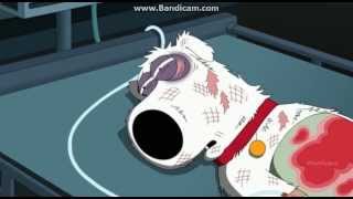 Family Guy  Season 12 Episode 3  Brians Death [upl. by Chong]