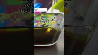 Put the hydrophobic sand in soya sauce fypyoutube hydrophobicsand fyp fy [upl. by Hanauq]