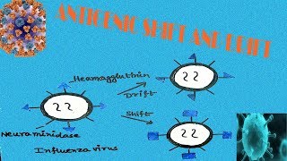 ANTIGENIC DRIFT AND ANTIGENIC SHIFT IN INFLUENZA VIRUS [upl. by Nohsed12]