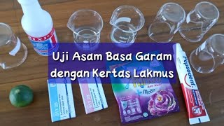 UJI ASAM BASA GARAM DENGAN KERTAS LAKMUS  Science Experiment [upl. by Hetti]