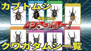 【公式】カブトムシ・クワガタムシ一覧【甲虫バトル ムシファイター！】1 [upl. by Norraf]