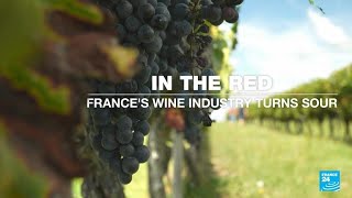 In the red Frances wine industry turns sour • FRANCE 24 English [upl. by Ehc]