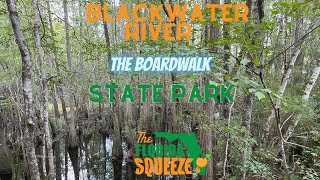 Blackwater River State Park Boardwalk [upl. by Ardnwahsal13]