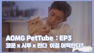 AOMG PetTube EP 03 코드 쿤스트 CODE KUNST x 시루 Seeroo x 판다 Panda [upl. by Namor]