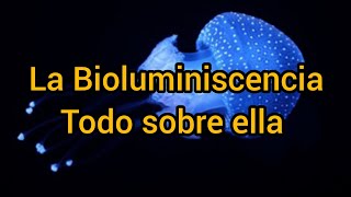 la Bioluminiscencia todo sobre ella [upl. by Nivert770]