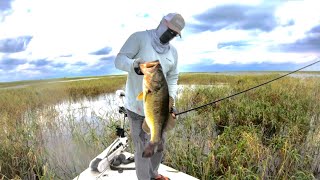 Lake Okeechobee highlight reel 80 FISH DAY 30lb BAG [upl. by Cole]