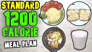 A Standard 1200 Calorie Meal Plan [upl. by Aeslehc]