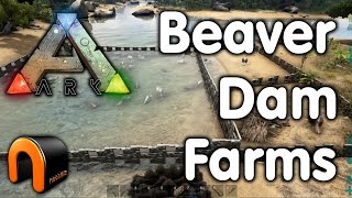 Ark Survival Evolved  BEAVER DAM FARMS Tested [upl. by Meekah]