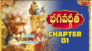 Bhagavad Gita🙏🛕CP1 13 Slokas and meaning video bhagavadgita slokam youtube [upl. by Auliffe]