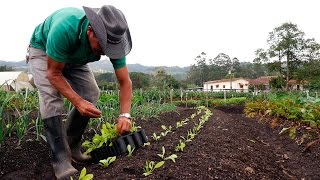 Importancia de la Agricultura Orgánica  TvAgro por Juan Gonzalo Angel [upl. by Amoeji]