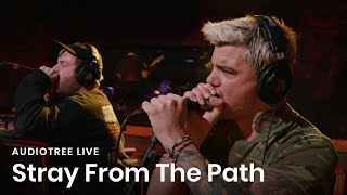 Stray From The Path  Kickback Ft Brendan Murphy of Counterparts  Audiotree Live [upl. by Eillek707]