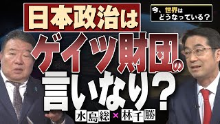 【今、世界はどうなっている？】林千勝×水島総 第34回「日本人の命を守る戦い！5月31日、史上最大の国民運動へ！！」桜R6518 [upl. by Guinevere]