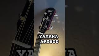 YAMAHA APX600を買いました！エントリーモデルのエレアコです。コスパが抜群です！ [upl. by Segroeg]