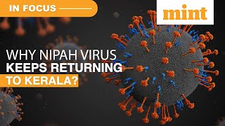 Kerala Nipah Virus Latest News  Central Team Of Experts In Kerala To Investigate Nipah Outbreak [upl. by Sined325]