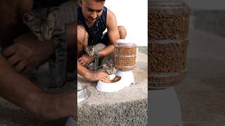 Automatic CatPet Food Feeder लेकर आया [upl. by Dihgirb]