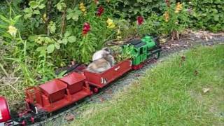 Schwarzfahrer unterwegs auf der Gartenbahn [upl. by Mode552]