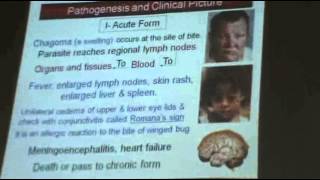 DrAzza  Protozoa 5  Trypanosoma  Part 4 [upl. by Wyck]