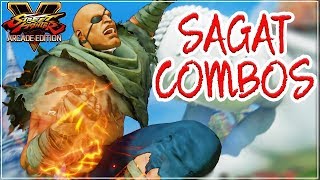 SAGAT ► COMBOS【Street Fighter V】 [upl. by Inahet460]