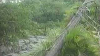 Weather History Hurricane Lenny 1999 [upl. by Nauht379]