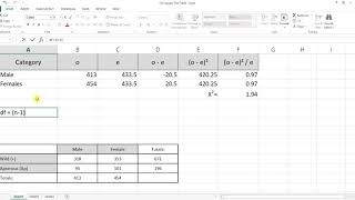 Lab Report amp Chi Square Testing Drosophila melanogaster [upl. by Horatius]