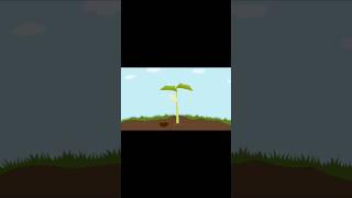 Plant Grow 🌿 Fun Plant Life Cycle for Kids [upl. by Ellemac147]