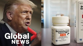 Coronavirus Trump says quotmany doctorsquot think hydroxychloroquine is successful in treating COVID19 [upl. by Sibeal]