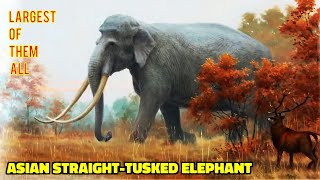 Palaeoloxodon namadicus  Largest ever Elephant species [upl. by Eissalc401]