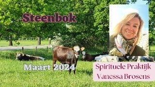 STEENBOK MAART 2024 LAAT JOUW INTUÏTIE MAAR SPREKEN STEENBOK JE GAAT NEXT LEVEL [upl. by Keiko]