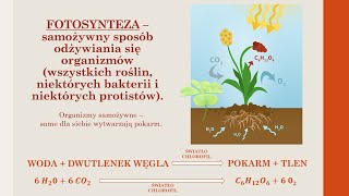 Budowa i czynności życiowe organizmów  PODSUMOWANIE WIADOMOŚCI biologia szkoła podstawowa [upl. by Kelam]