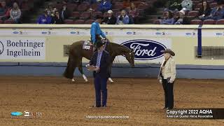 2022 Farnam AQHA and Adequan Select World Senior Western Pleasure [upl. by Dare]