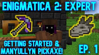 Enigmatica 2 Expert Begins  Minecraft E2E ep1 [upl. by Chem]