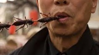 MAN CATCH Big COBRA DIRTY FLIES COCKROACHES TO COOK N EAT PORK BLOOD AND HAIR ROLL 🤮🤮 WAIRED [upl. by Portingale]