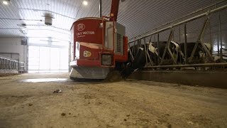 How Robots Are Saving the Dairy Farm [upl. by Rudyard]