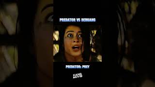 predator vs beruang movie alurfilm film [upl. by Balkin512]