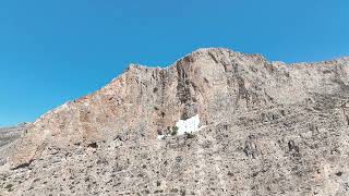 CATLEYA AMORGOS [upl. by Sansbury]