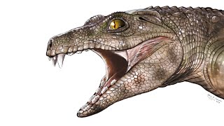 Chimaerasuchus A Herbivorous Crocodylomorph From Prehistoric China [upl. by Joann708]