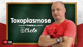 Ciclo da Toxoplasmose I Parasitologia [upl. by Aiekat515]