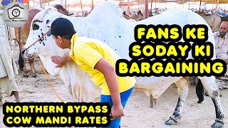 Small Cattle RATES UPDATES with BARGAINING for FANS DEAL  Cattle Market Karachi  Bakra Eid 2023 [upl. by Toile581]