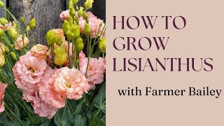 How to Grow Lisianthus with Farmer Bailey Hale [upl. by Mott477]