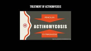 Treatment of actinomycosis actinomyces actinomycosis infection [upl. by Garretson130]