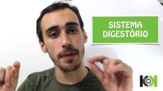 Fisiologia Animal  Sistema Digestório [upl. by Drofwarc]