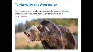 Biology Lecture 9 4E Territorality and Aggression [upl. by Valentijn]