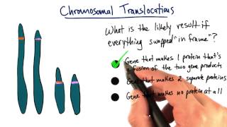 Chromosomal Translocation  Tales from the Genome [upl. by Tella]