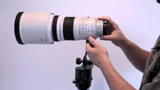 Canon 300mm f28 MK I Vs MkII [upl. by Alieka]