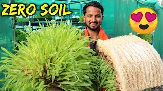 बिना मिट्टी  Organic Farming  90 पानी की बचत  Hydroponics Farming in India  Indian Farmer [upl. by Fotinas]